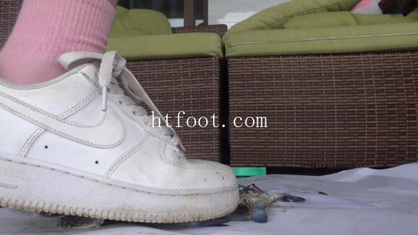 122013rdatn22fy4m4ab4s.jpg