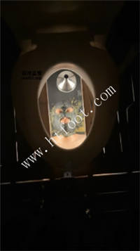 054528hibddy5lxxg130lb.jpg