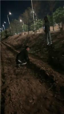 s1v3uepxlji.jpg