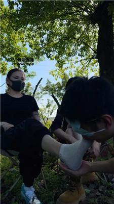 dpvtealweqi.jpg