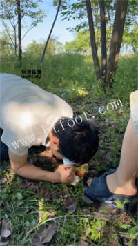 050941dj5tu5ahah5ht85o.jpg