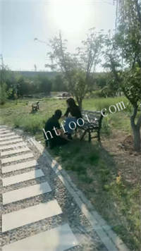 051015m79kqago6r9kgdfs.jpg