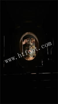 051137ndsddd2shne7ezsn.jpg