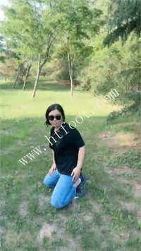 020554r1drscsrcpdfvrdl.jpg