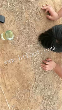 040022kwjfzjlqyl1ep3rf.jpg