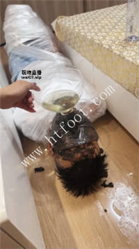 054947buvqz7il2zqiqs2m.jpg