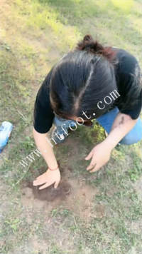 020558rkac3mmfllm577cq.jpg