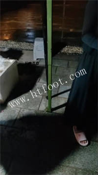 085952rwtnw6bh0u90tlm4.jpg