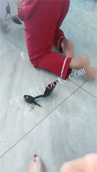 043051j1zti4trtt8i1t71.jpg
