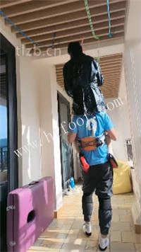 091640uqsj8bji0ih0g33s.jpg