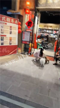 131855sy0af06wuj8v80u6.jpg