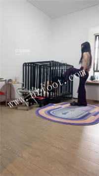 065919mkq8n0ct1wx8tfpu.jpg