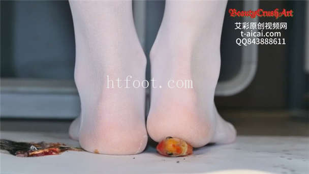 105701cpf0k5tbbcqvm54l.jpg