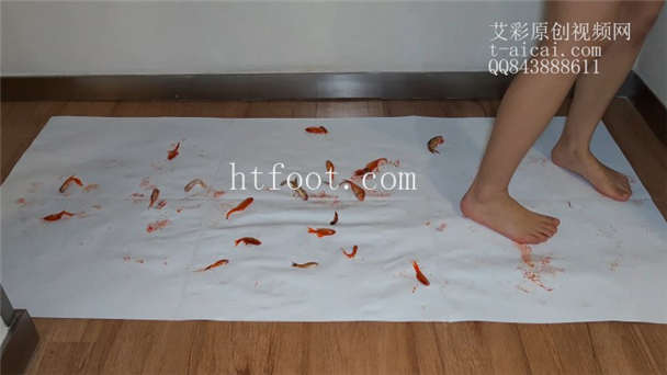 105436ijzr5tub6sunhii6.jpg