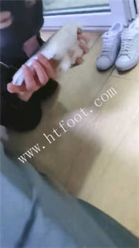 150548b3gc36idk1k8dcrr.jpg