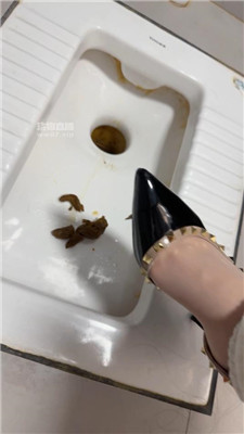n51tjwbq0eq.jpg
