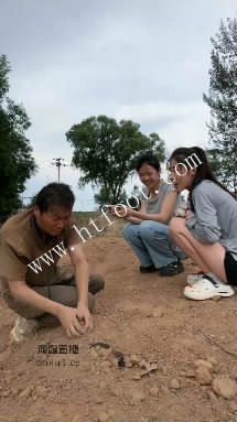150546gnchyacn4he539lc.jpg