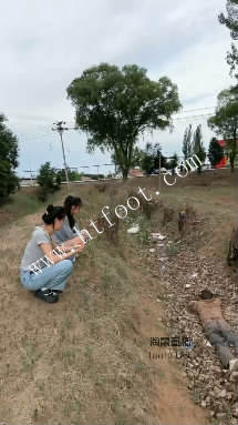 150547siz68o8zpyjqq068.jpg
