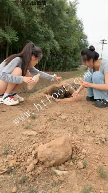 150547v5okvecuwooqez2k.jpg
