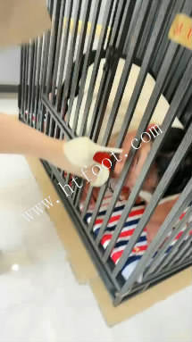 150921ft2ugq0cf8r2y7r2.jpg