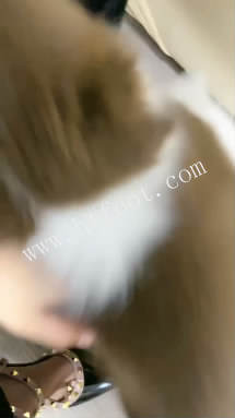 152332d3ldn5ijmmbvbzqw.jpg