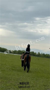 064936qj7ef5y974mccitp.jpg