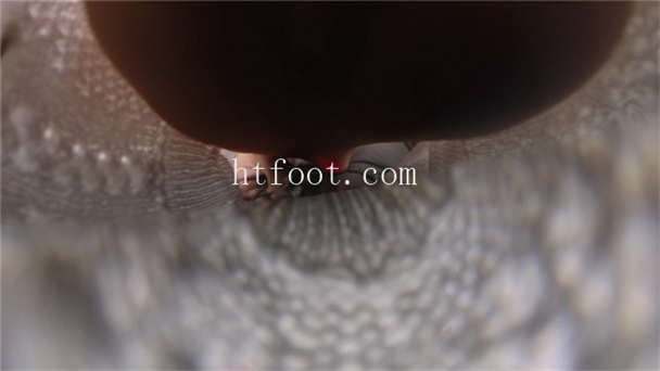133009dobfyebywbqy4kke.jpg