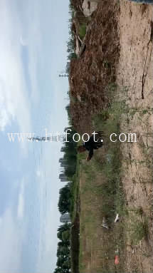 035958tuzqm1w1hu9d9jdh.jpg