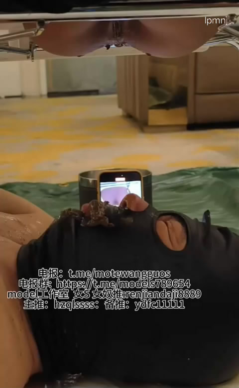 151129fay11qar5pprqg87.jpg