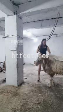 142148lm5mmzv4sa44rrp0.jpg