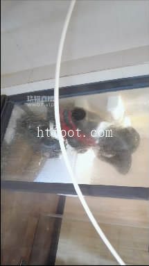 134557a3espt8s8tpr65ou.jpg