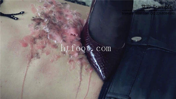 130324altst3dlpt66344t.jpg