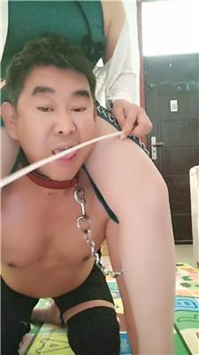 eofzhw2qgui.jpg