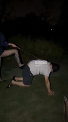 3q3v2xqz5za.jpg