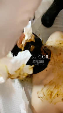 024038ar4lcwn121wvrv1t.jpg