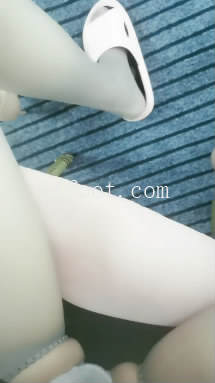 084034t3k49wk9w43fe8qx.jpg