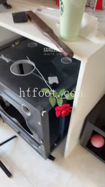 043651xts5gmnnqlc85o65.jpg