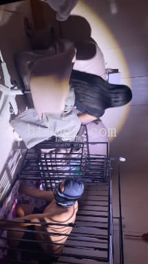 045658sz074xd07wdii5ow.jpg