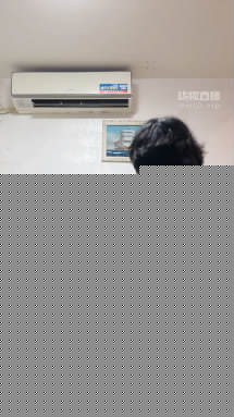 062423zuxzhl9hhlvolhjk.jpg