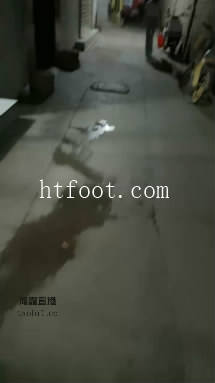 072010mfl85f7psucbzwzk.jpg