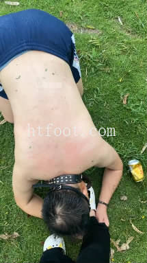 054841opzmdtrgedee67ot.jpg