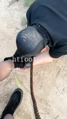 133047sup5p97u79nese93.jpg