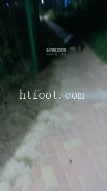 133705mfqb683t0yzq3q0x.jpg