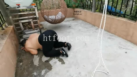 042352zbqz1qk7nb7bw9vi.jpg