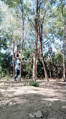 025133rcppnb57672cpoqe.jpg
