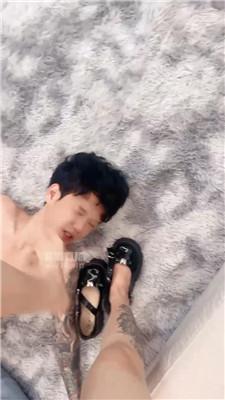 43swdyq2t44.jpg