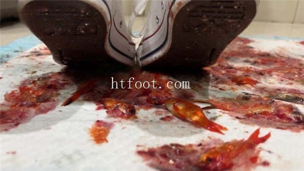 072712j5sollbjzj5jbvw6.jpg
