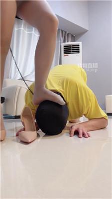 cndxlcwvcw5.jpg
