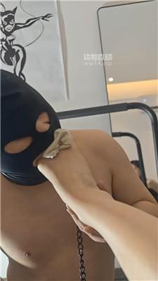 l5qlfjzpy1t.jpg