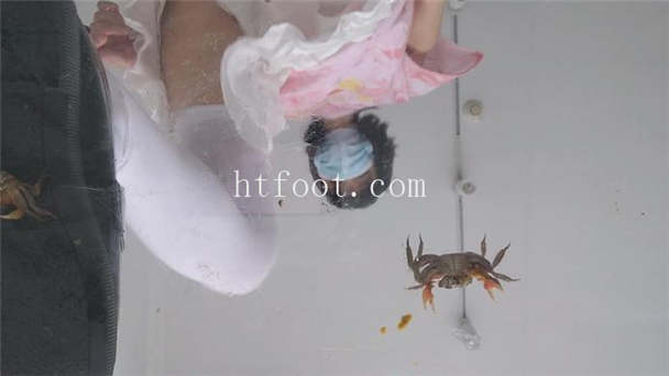 063837whr1h2d441n4v4q4.jpg